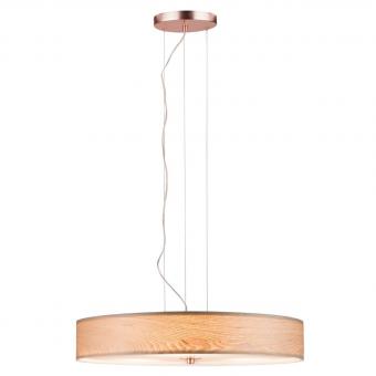 Подвесной светильник Paulmann Alva 79649