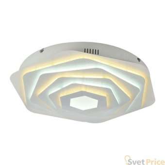 Потолочный светодиодный светильник F-Promo Ledolution 2289-5C