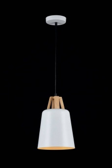 Подвесной светильник Maytoni Cup T019-01-W