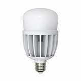 Лампа светодиодная (10809) E27 25W 4500K M80 матовая LED-M80-25W/NW/E27/FR/S