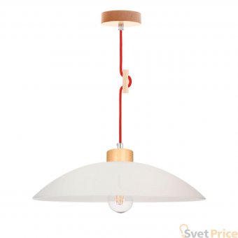 Подвесной светильник Spot Light Jona 1408660