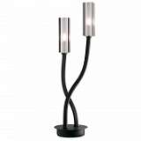 Настольная лампа Odeon Light Moden 2010/2T