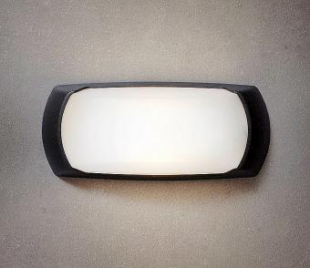 Уличный настенный светильник Fumagalli Francy-ОP 2A1.000.000.AYE27