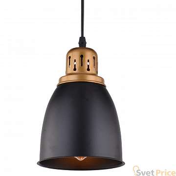 Подвесной светильник Arte Lamp Eurica A4248SP-1BK