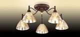 Потолочная люстра Odeon Light Treves 2625/5C