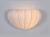 Настенный светильник ST Luce Tessile SL351.051.01