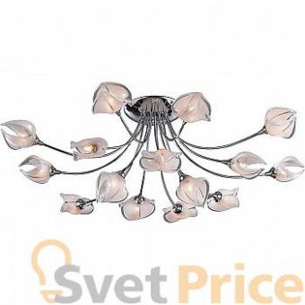 Люстра N-Light 131-15-33