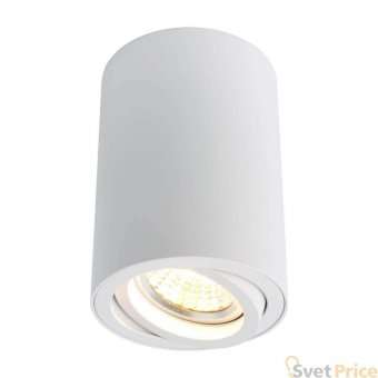 Потолочный светильник Arte Lamp A1560PL-1WH