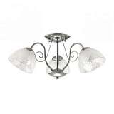 Потолочная люстра Lumion Visanti 3611/3C