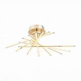 Потолочная светодиодная люстра ST Luce Fasci SL926.202.08