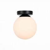 Настенно-потолочный светильник ST Luce Acini SL717.401.01