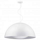 Подвесной светодиодный светильник Spot Light Ray 3052102