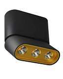 Светодиодный спот Lumien Hall Фергус 8005/3CS-BK-GD