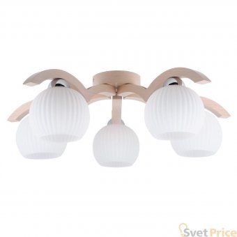 Потолочная люстра Spot Light Vasa 5640532