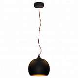 Подвесной светильник Lussole Loft LSN-6116-01