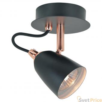 Спот Lussole Loft LSP-9851