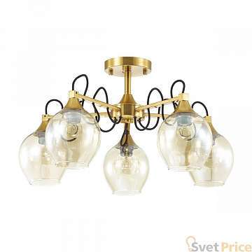 Потолочная люстра Lumion Megan 3777/5C