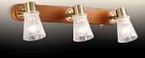 Спот Odeon Light Blanca 2614/3W
