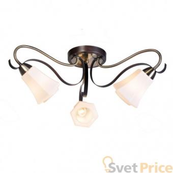 Потолочная люстра Silver Light Merely 225.59.3