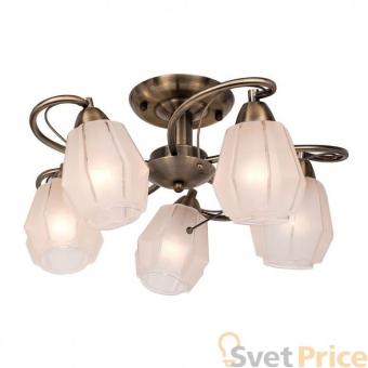 Потолочная люстра Silver Light Brazil 506.53.5