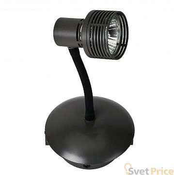 Спот Lussole Loft Arina LSP-9820