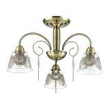 Потолочная люстра Lumion Hortensa 3289/3C