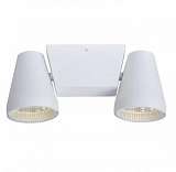 Потолочный светодиодный светильник Lucide Cello 12159/22/31