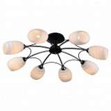 Потолочная люстра Lussole Lgo LSP-0154