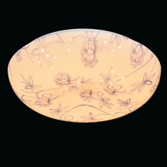 Потолочный светодиодный светильник MW-Light Омега 325014601