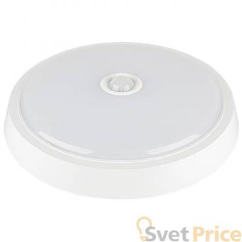 Потолочный светильник Elektrostandard Down Light 4690389063794