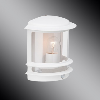 Уличный настенный светильник Brilliant Hollywood 47897/05