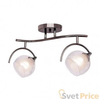 Потолочная люстра Silver Light Sfera 255.59.2