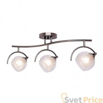 Потолочная люстра Silver Light Sfera 255.59.3