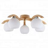 Потолочная люстра Spot Light Vasa 5640560