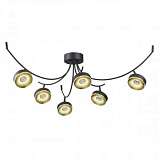 Потолочная светодиодная люстра Odeon Light Fineca 3812/42CL