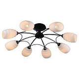 Потолочная люстра Lussole Lgo GRLSP-0154