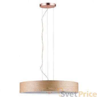 Подвесной светильник Paulmann Alva 79649