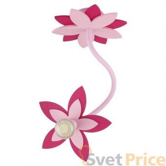 Подвесной светильник Nowodvorski Flowers Pink 6893
