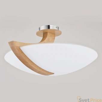 Потолочный светильник Alfa Calmi 90058