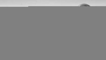 Подвесной светильник Lussole Loft LSP-9613