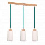Подвесной светильник Spot Light Bosco 1713331