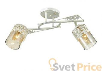 Спот Lumion Mirela 3096/2C