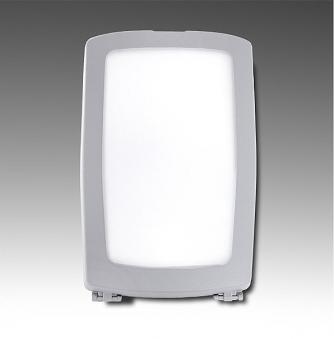 Уличный настенный светодиодный светильник Fumagalli Germana 2N1.000.000.LXC2L