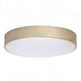 Потолочный светодиодный светильник MW-Light Ривз 16 674015901