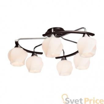 Потолочная люстра Silver Light Aranda 228.59.6