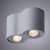 Потолочный светильник Arte Lamp Falcon A5645PL-2GY