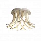 Потолочная светодиодная люстра ST Luce Filiali SL827.502.20