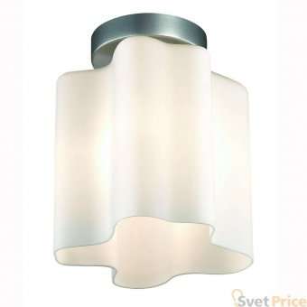 Потолочный светильник ST Luce Onde SL117.502.01
