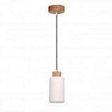 Подвесной светильник Spot Light Bosco 1714174