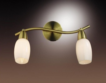 Спот Odeon Light Otta 2067/2W